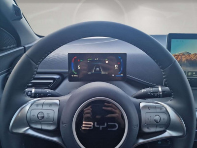 BYD Dolphin Surf Neuwagen