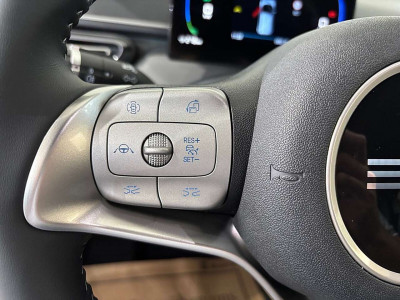 BYD Dolphin Surf Neuwagen