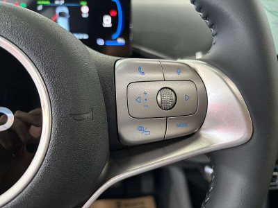 BYD Dolphin Surf Neuwagen