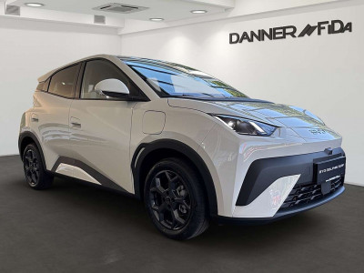 BYD Dolphin Surf Neuwagen