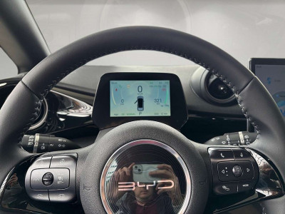 BYD Dolphin Neuwagen