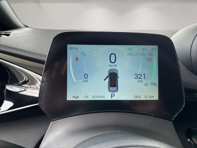 BYD Dolphin Neuwagen