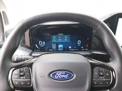 Ford Tourneo Custom Gebrauchtwagen