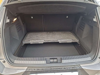 Mitsubishi Grandis Neuwagen