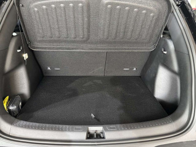 BYD Atto 2 Vorführwagen