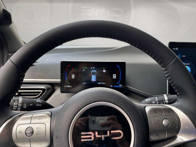 BYD Dolphin Surf Vorführwagen