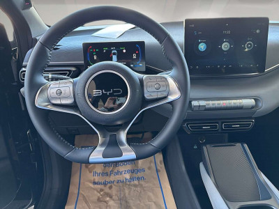 BYD Dolphin Surf Neuwagen