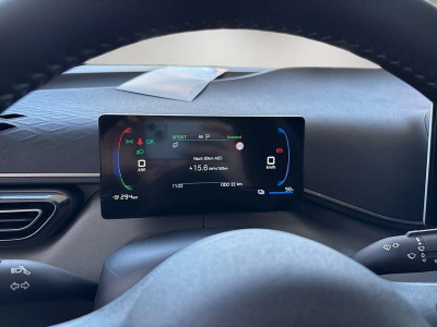 BYD Dolphin Surf Neuwagen