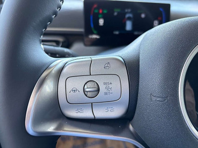 BYD Dolphin Surf Neuwagen