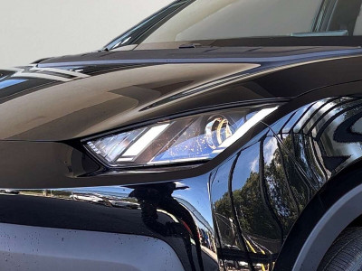 BYD Dolphin Surf Neuwagen