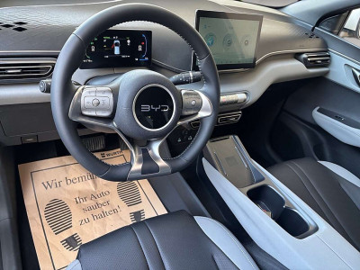 BYD Dolphin Surf Neuwagen