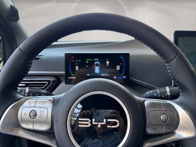 BYD Dolphin Surf Neuwagen