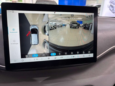 BYD Dolphin Surf Neuwagen