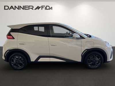 BYD Dolphin Surf Neuwagen