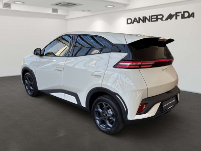 BYD Dolphin Surf Neuwagen