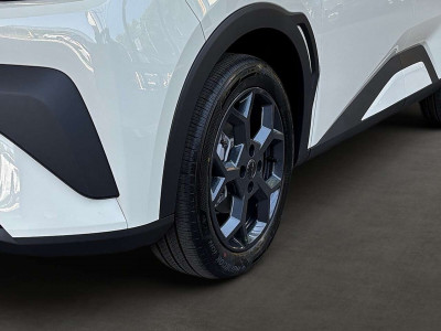 BYD Dolphin Surf Neuwagen