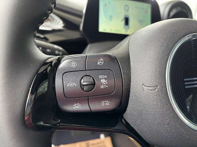 BYD Dolphin Neuwagen