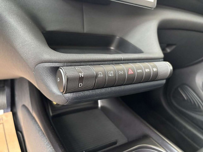 BYD Dolphin Neuwagen