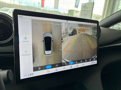 BYD Dolphin Neuwagen