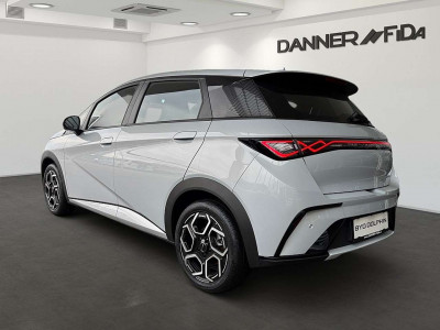 BYD Dolphin Neuwagen