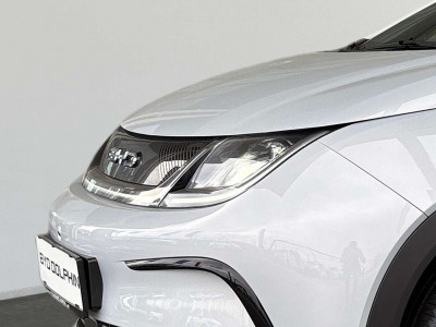 BYD Dolphin Neuwagen