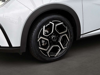 BYD Dolphin Neuwagen