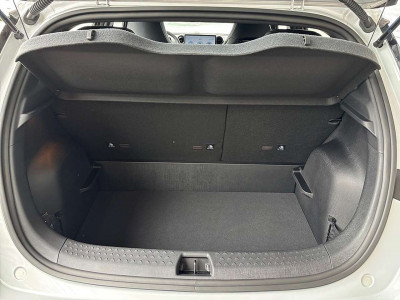 BYD Dolphin Neuwagen