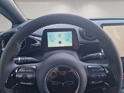 BYD Dolphin Neuwagen