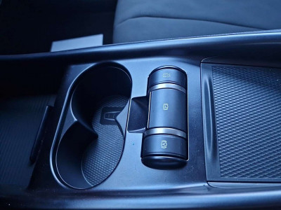 BYD Dolphin Neuwagen