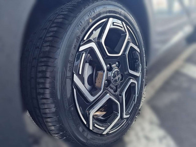 BYD Dolphin Neuwagen