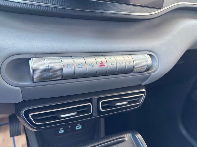 BYD Dolphin Surf Vorführwagen