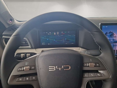 BYD Atto 2 Vorführwagen