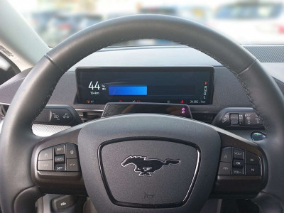 Ford Mustang Mach-E Gebrauchtwagen