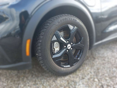 Ford Mustang Mach-E Gebrauchtwagen