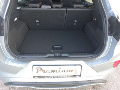 Ford Puma Tageszulassung