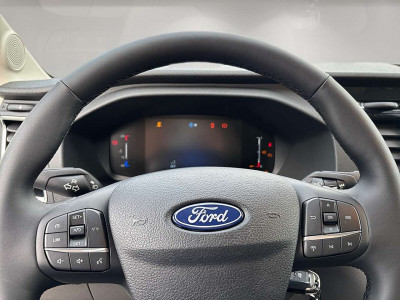 Ford Transit Neuwagen Ford Transit Neuwagen