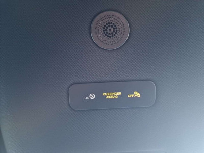 BYD Dolphin Vorführwagen