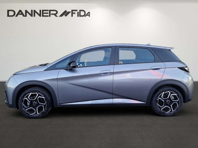 BYD Dolphin Vorführwagen