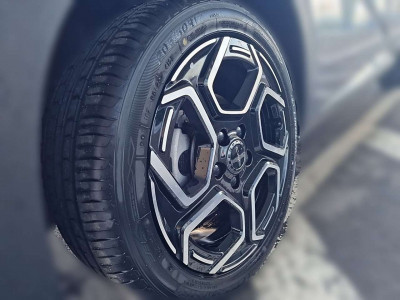 BYD Dolphin Vorführwagen