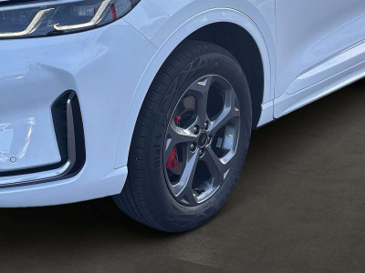 Ford Kuga Vorführwagen