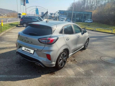 Ford Puma Gebrauchtwagen