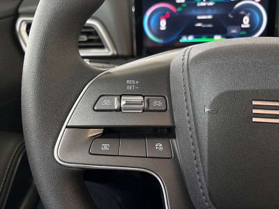 BYD Atto 2 Vorführwagen BYD Atto 2 Vorführwagen