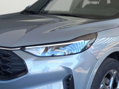 Ford Kuga Vorführwagen