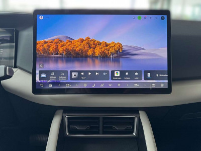 BYD Atto 2 Vorführwagen