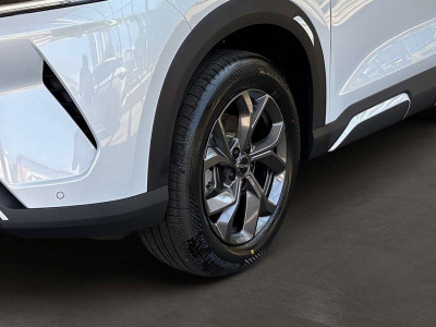 BYD Atto 2 Vorführwagen