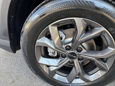 BYD Atto 2 Vorführwagen