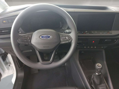 Ford Transit Tageszulassung