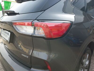 Ford Kuga Gebrauchtwagen