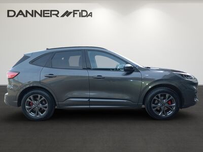 Ford Kuga Gebrauchtwagen