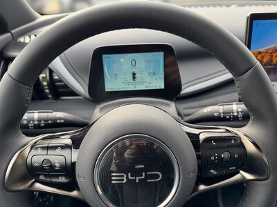 BYD Atto 3 Neuwagen